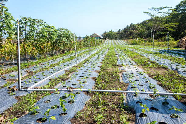 Global Delta Agricultural Solutions